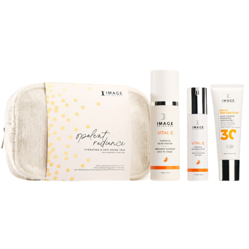 Opulent Radiance Holiday Kit